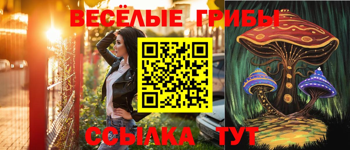 Самара  Псилоцибиновые грибы Cubensis  Вход с VPN 